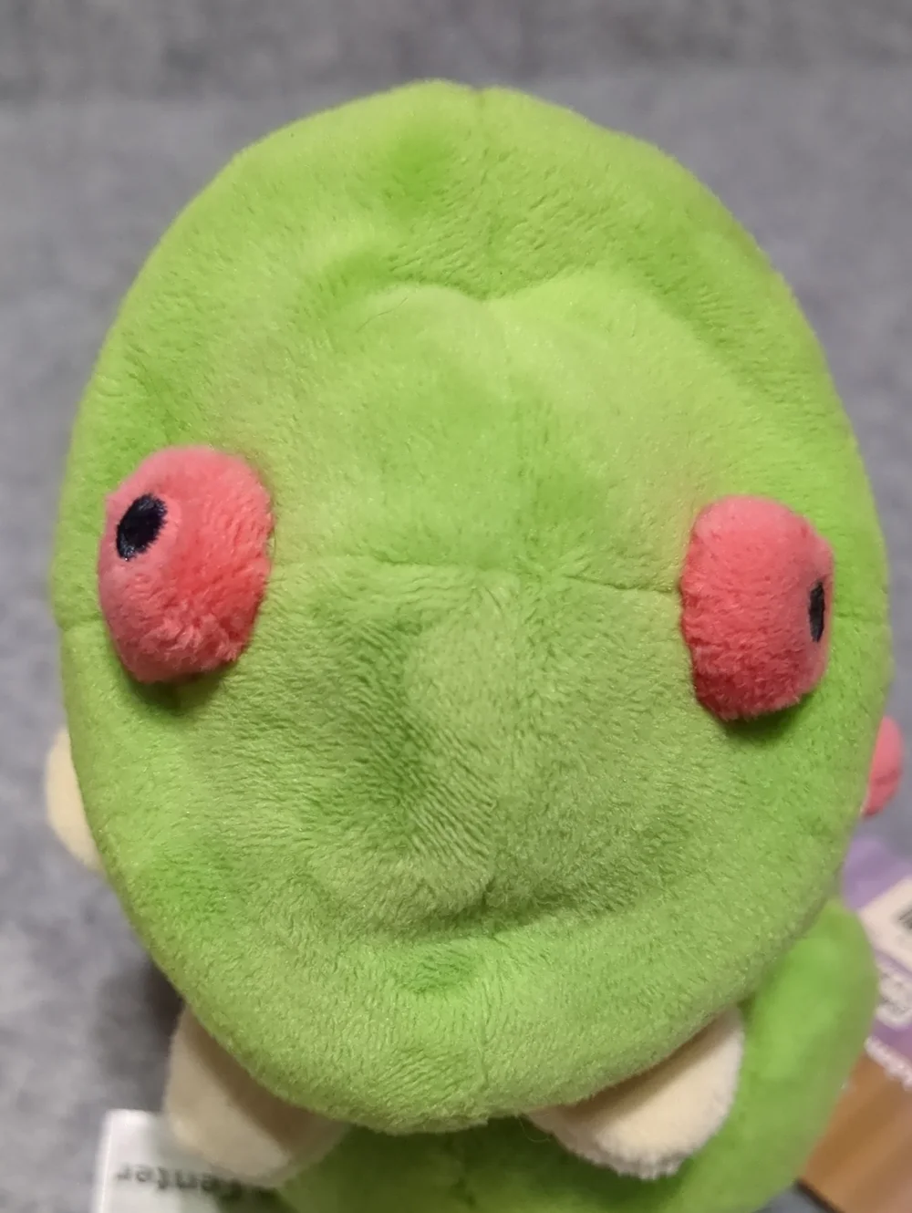 Pokemon Center Original Plush Pokemon Fit Kinogassa Japan Rare Plush 5.5